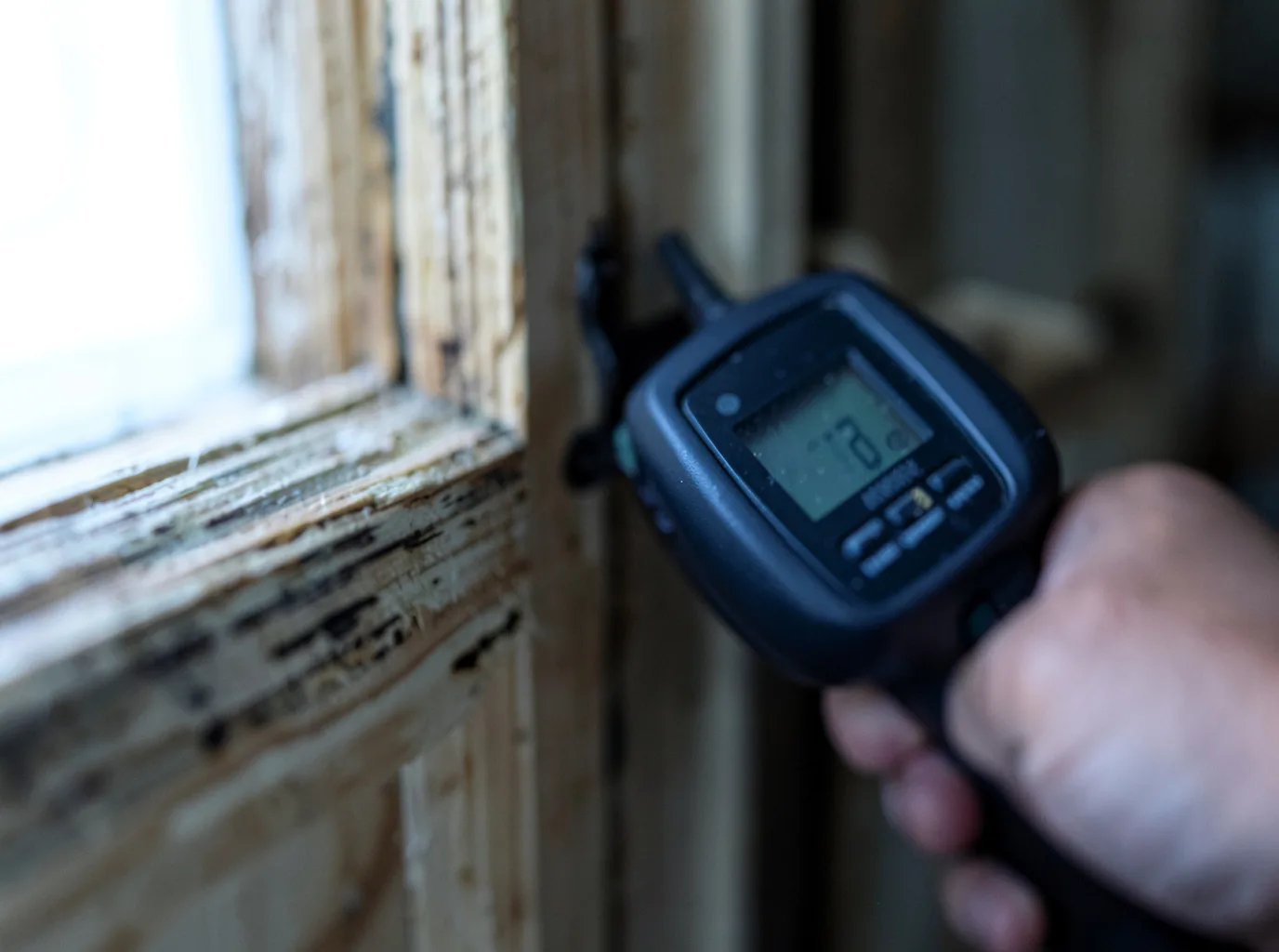 Moisture Inspection And Documentation in Neffs, PA